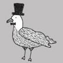 theoneandonlylesbianseagull avatar