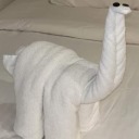 theoneandonlylostsock avatar