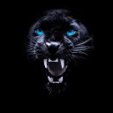 theoneandonlyuxu avatar