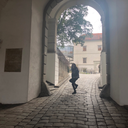 theonethatisperstephone avatar