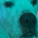 theonethatwritessometimes avatar