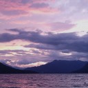 theonetrueagent avatar