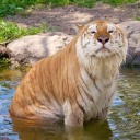 theonewhoshines avatar