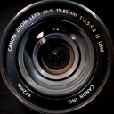 theonlinecollector avatar