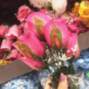 theonlyonethatgotaway avatar