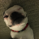 theoptimisticsomething avatar