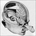 theoraph-blog avatar