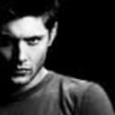 theoreticalarmor avatar