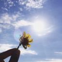 theoriginalcolor avatar