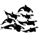 theorlandopod avatar