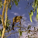 theoscouts-sideblog avatar