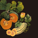 theotherartblog avatar