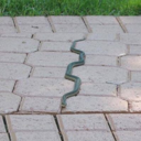 theotherfacsimile avatar