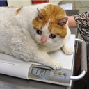 theotherholmes avatar