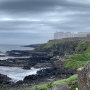 theothermasquerades avatar