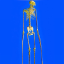 theothermichaeldistortion avatar