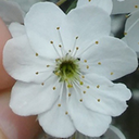 theotherrandomthings avatar