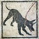 theotherwolfinsideyou avatar