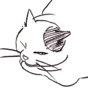 theotterwizard avatar