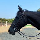 theoutsiderein avatar