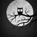 theowlonthetwig avatar