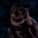 theowlswalkwithme-blog avatar