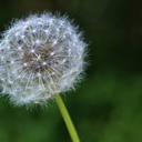 thepainifeelinside avatar