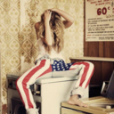 thepantsprance-blog avatar