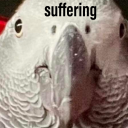 thepeachhashair avatar