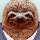 thepedosloth avatar