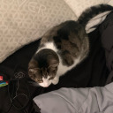 thepeoplesblogs avatar