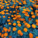 theperfectblogger avatar