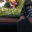 theperfectdreamlife avatar