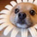 theperfectlovee avatar