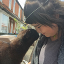 theperksofbeinglou-xo-blog avatar