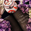 theperksofbeingnoura avatar