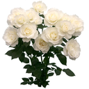 theperksofhavingantlers avatar