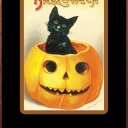 theperplexednavigator avatar