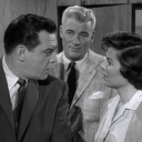 theperrylleluniverse avatar