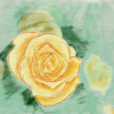 thepersonwhohasablog avatar