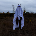 thephantombat avatar