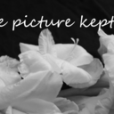 thepicturekept avatar