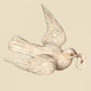 thepigeonsart avatar