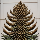 thepinestcone avatar