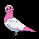 thepinkpidgeon avatar