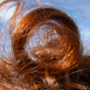 thepiratesolution avatar