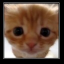 thepjofandom24 avatar