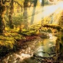 thepliablefoe avatar