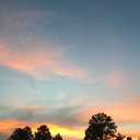 theplurestofprincesss avatar