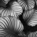 thepositivemn avatar